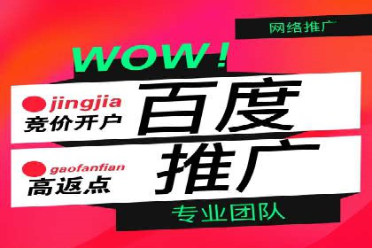 行业报告：专业SEM托管的成功实践与挑战